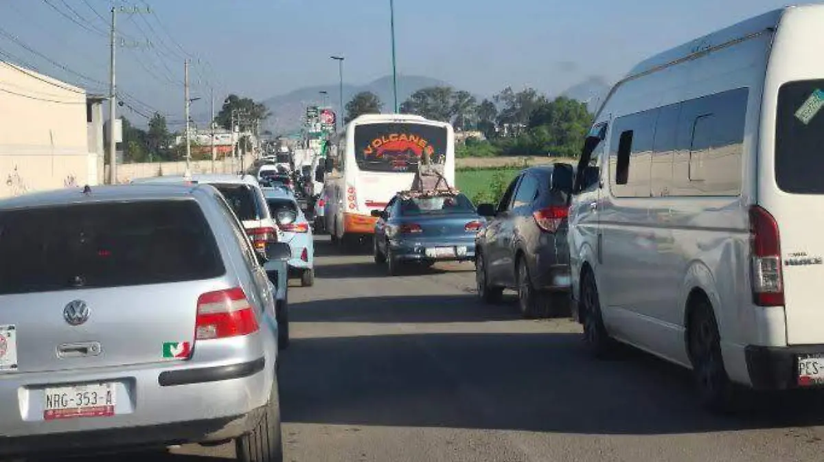 baches 2