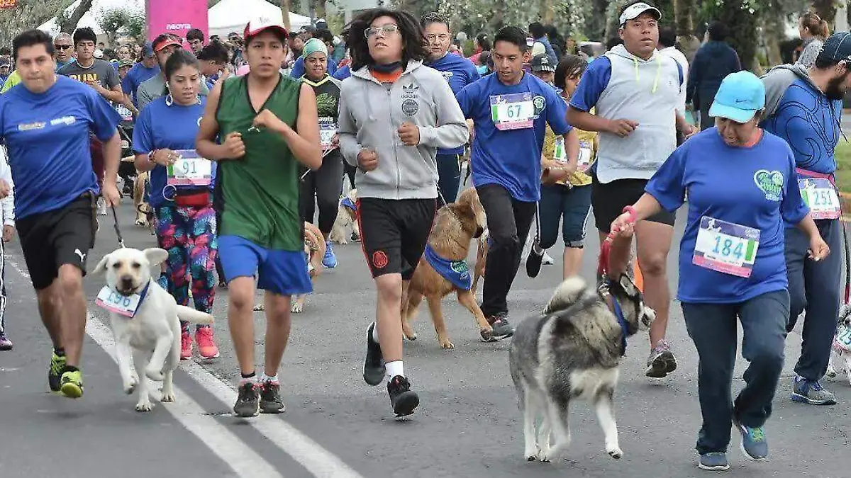 CarreraAmecameca1