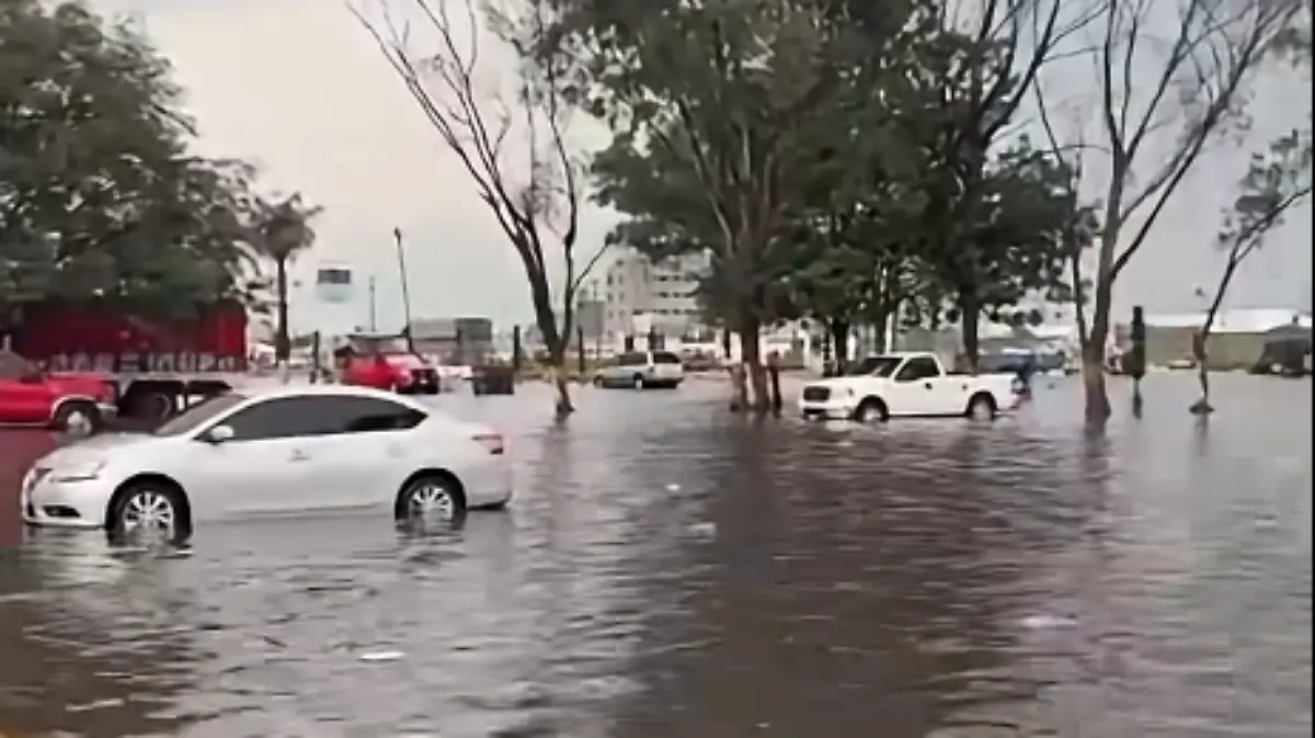 Captura de pantalla 2026-08-14 183147