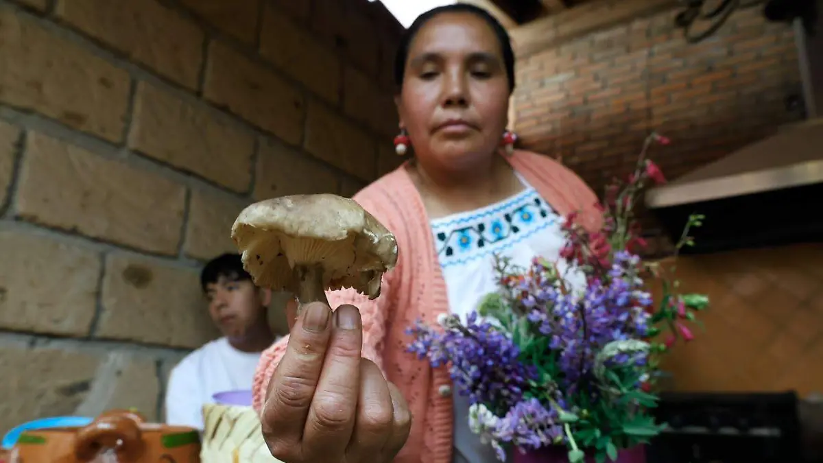 WhatsApp Image 2026-08-22 at 2.37.25 PM
