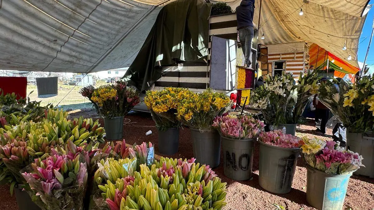 Flores