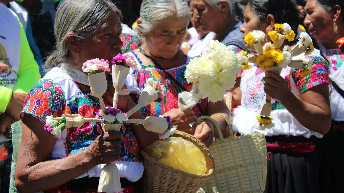 INDIGENAS
