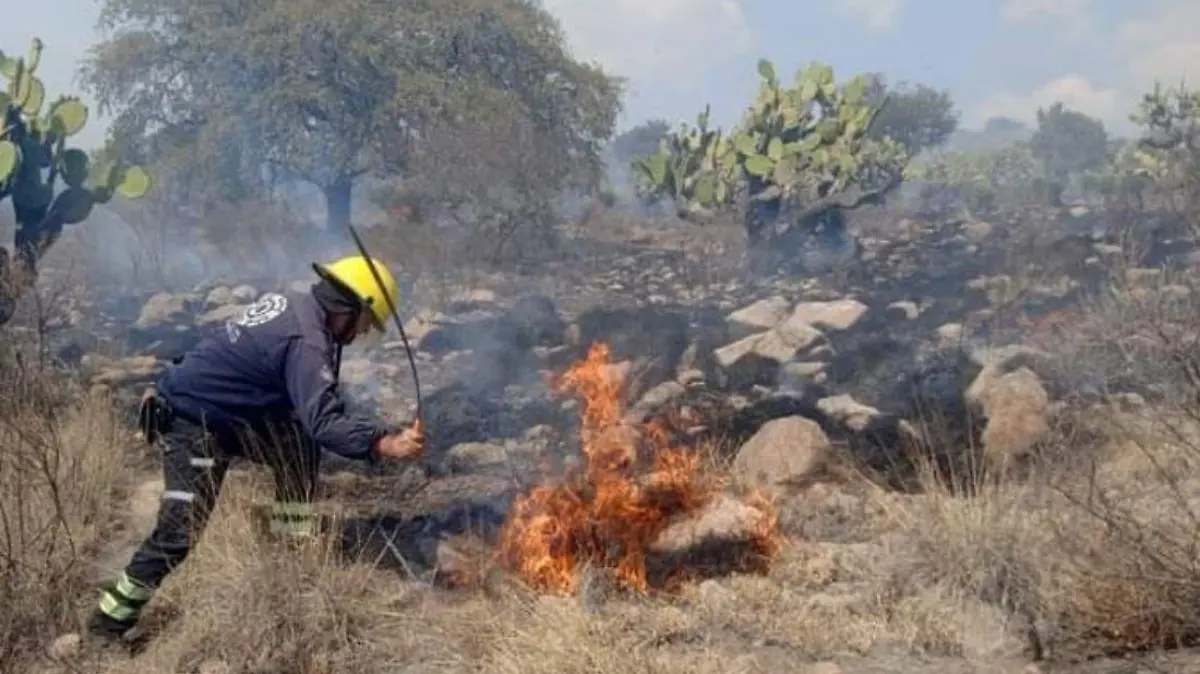 Bomberos