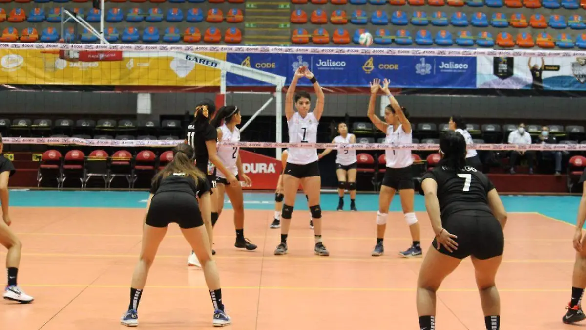 Voleibol