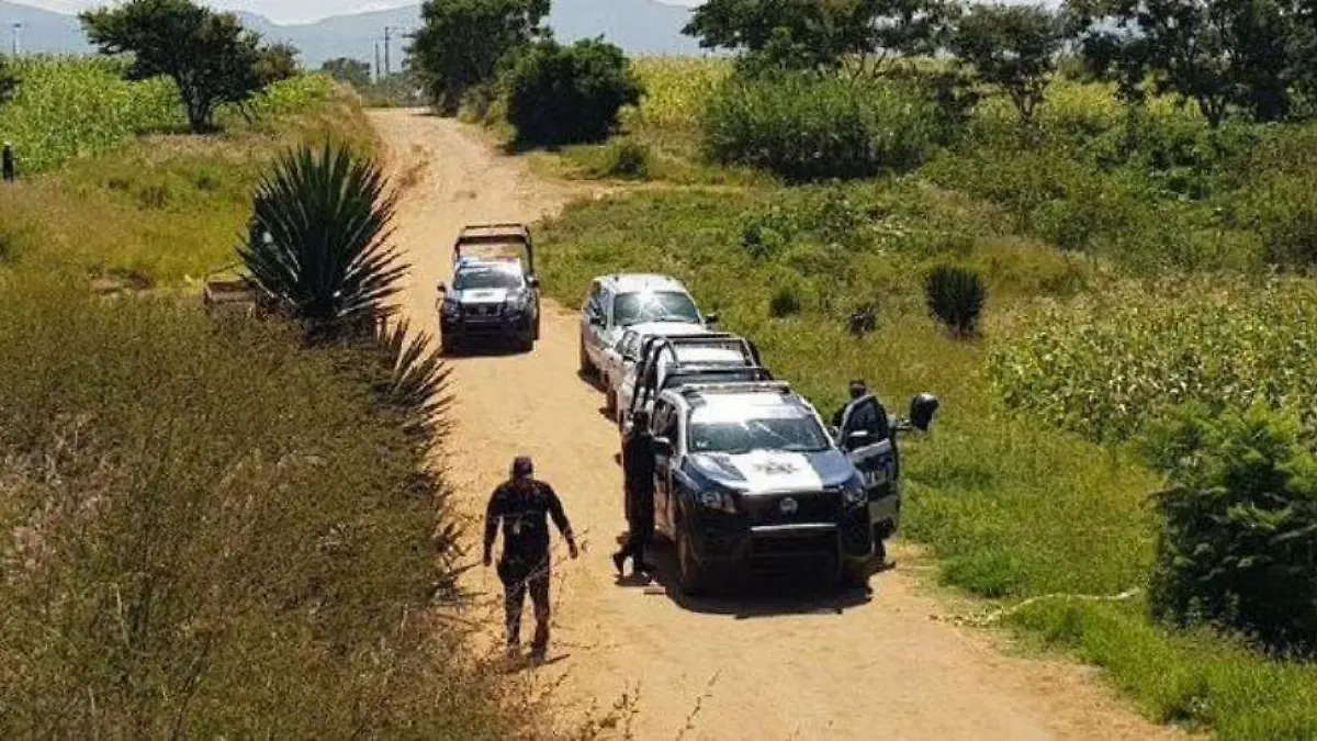 INSPECCION SINGULIUCAN 1