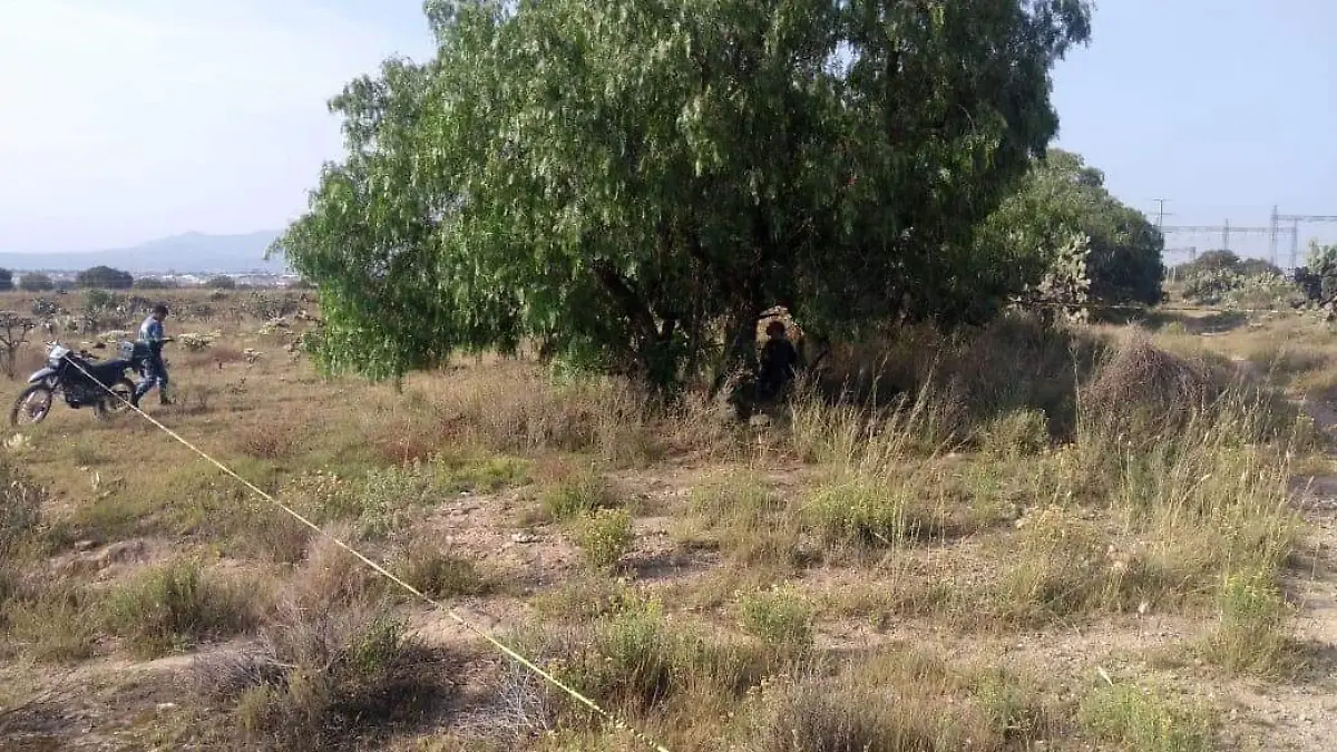 ARBOL2