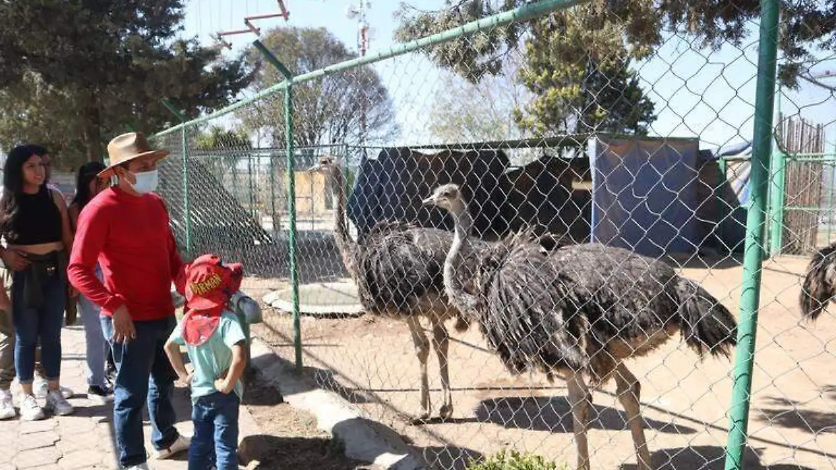 ZOO 1