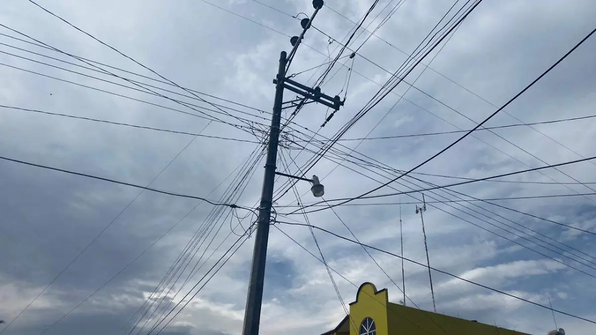 WhatsApp Image 2022-01-24 at 2.52.18 PM