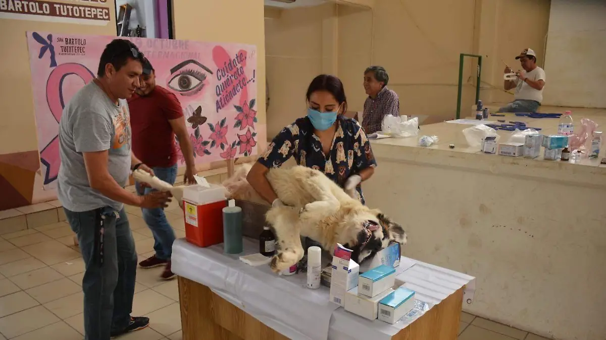 ESTERILIZACION