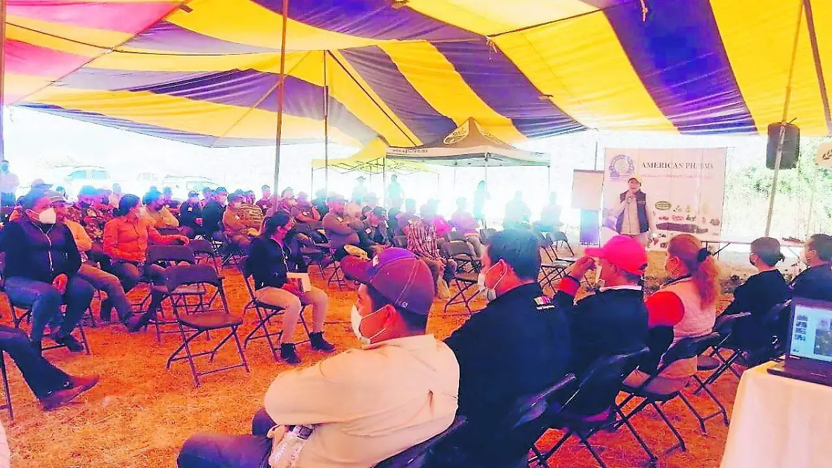 jaula- Acatlan  (2)_CMYK