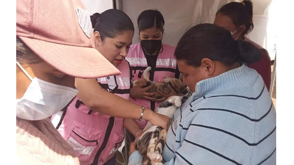 Esterilización30