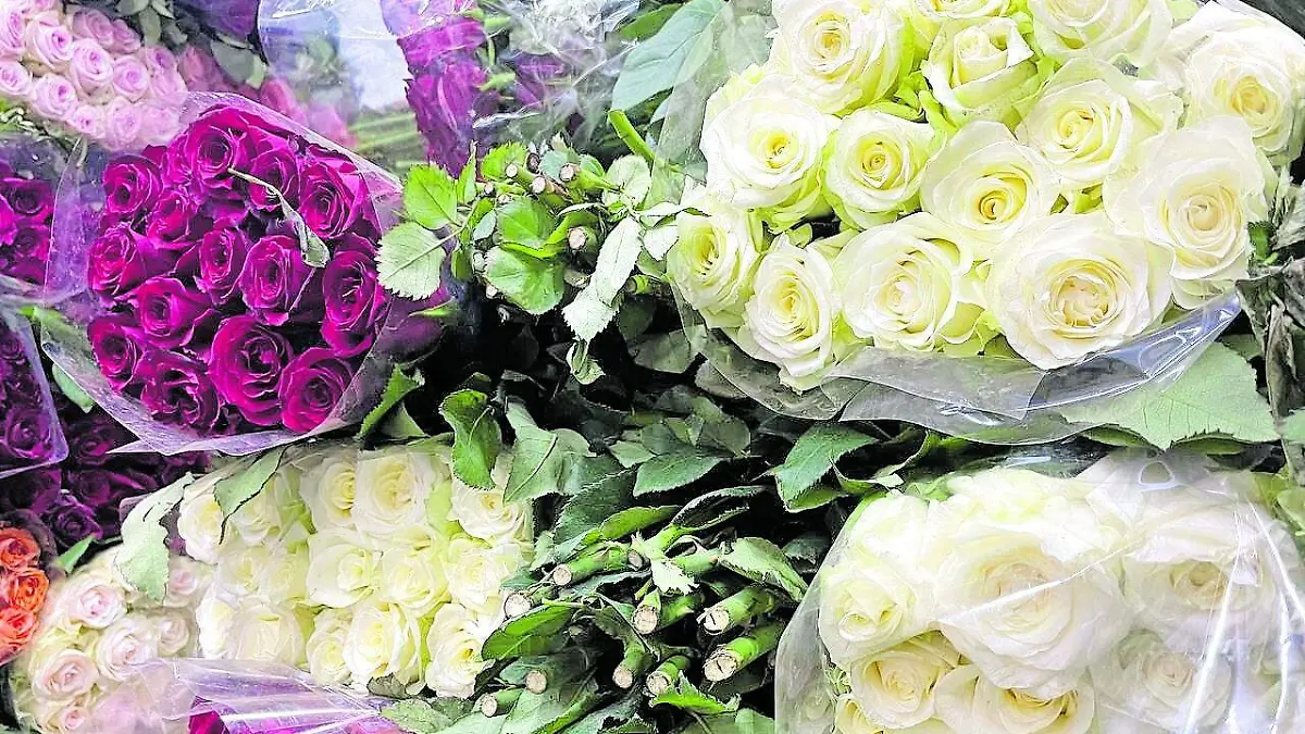 FLORES _ JAFET TERRAZAS  5_CMYK