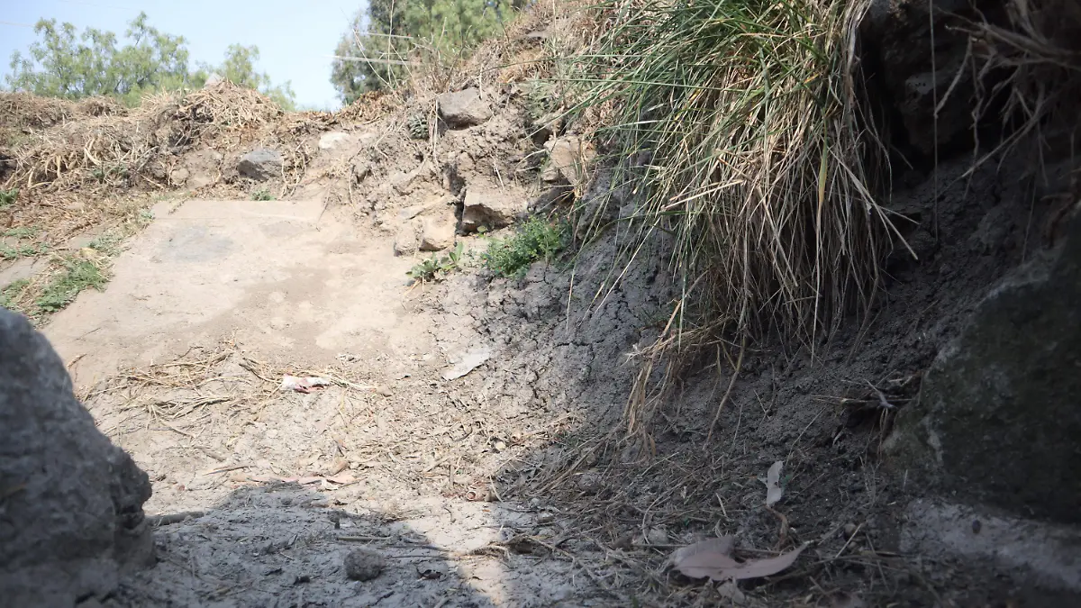 ESTIAJE _ JAFET TERRAZAS 1