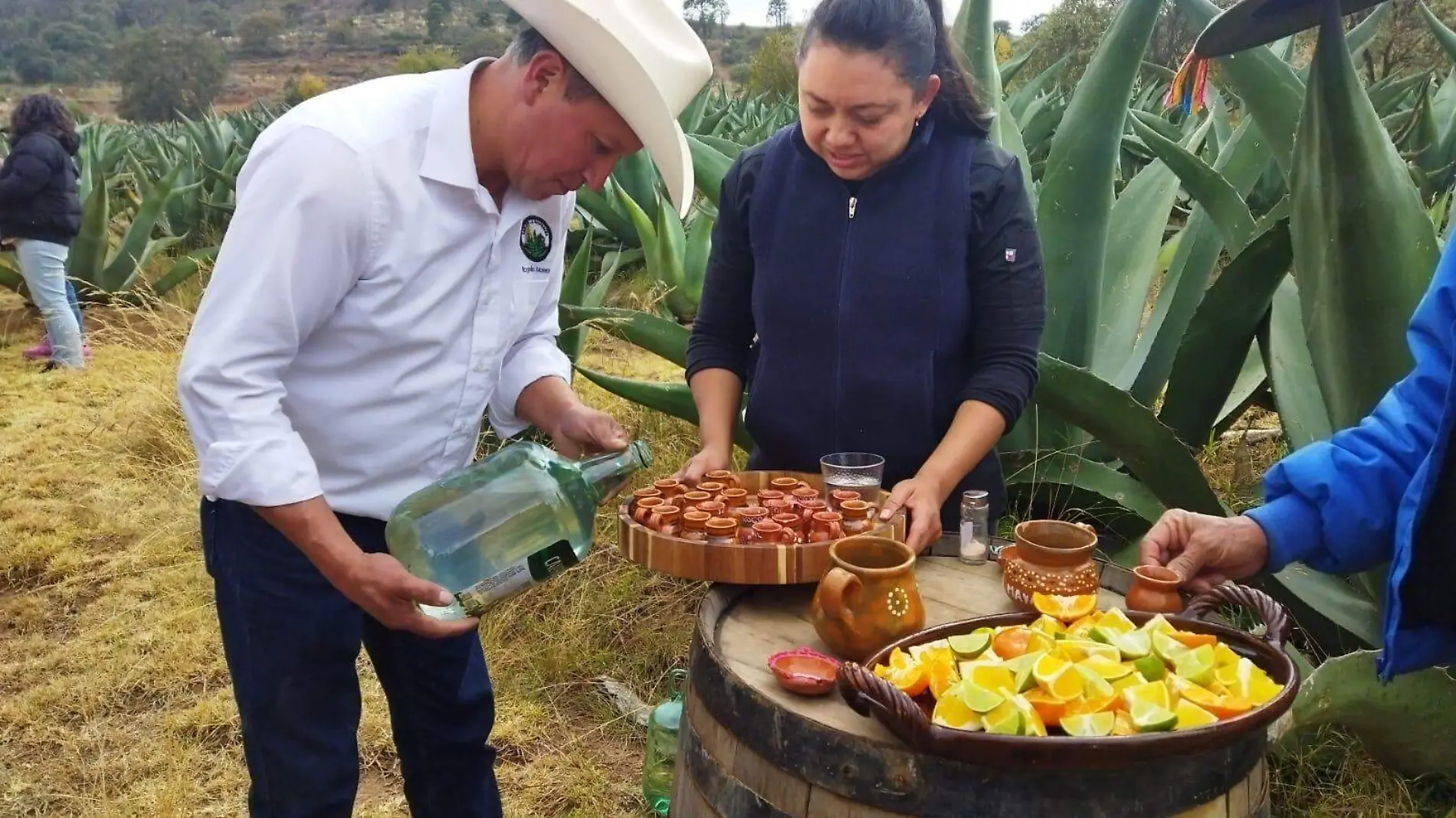 PULQUE