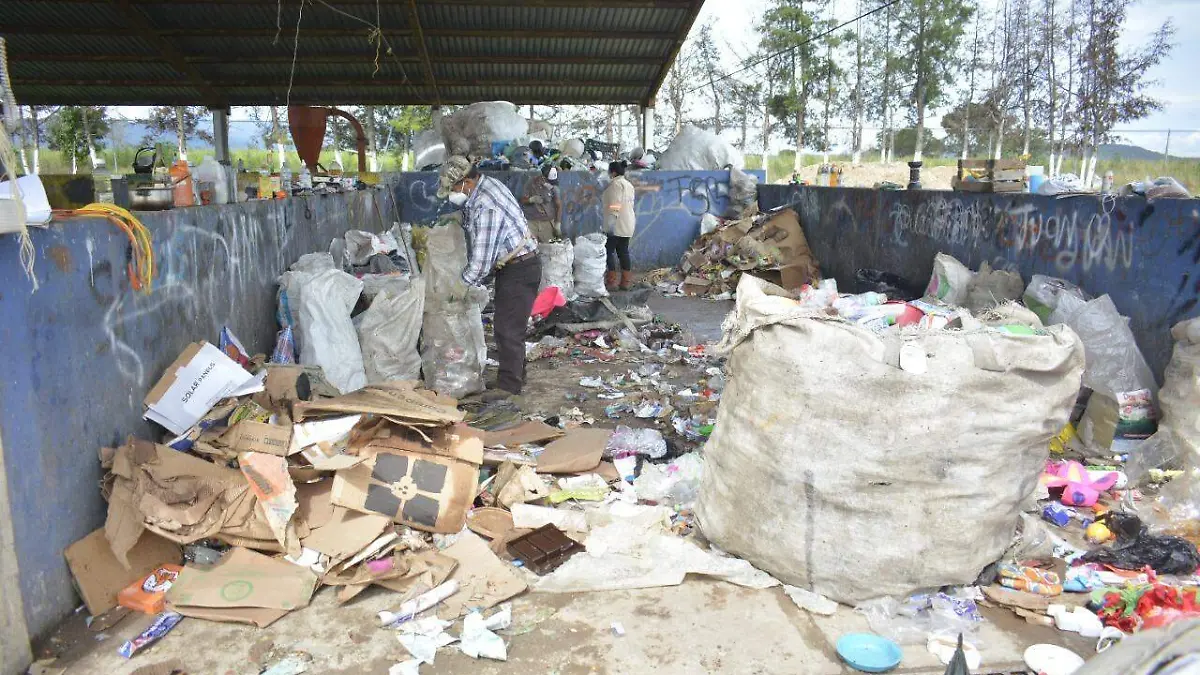 Reciclan