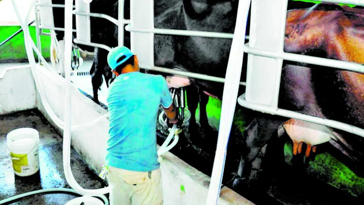 PROYECTO ENVASADO (2)