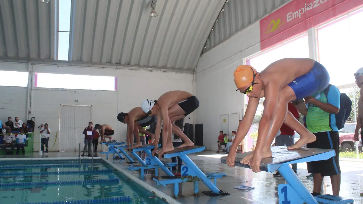 TORNEO DE NATACION 1
