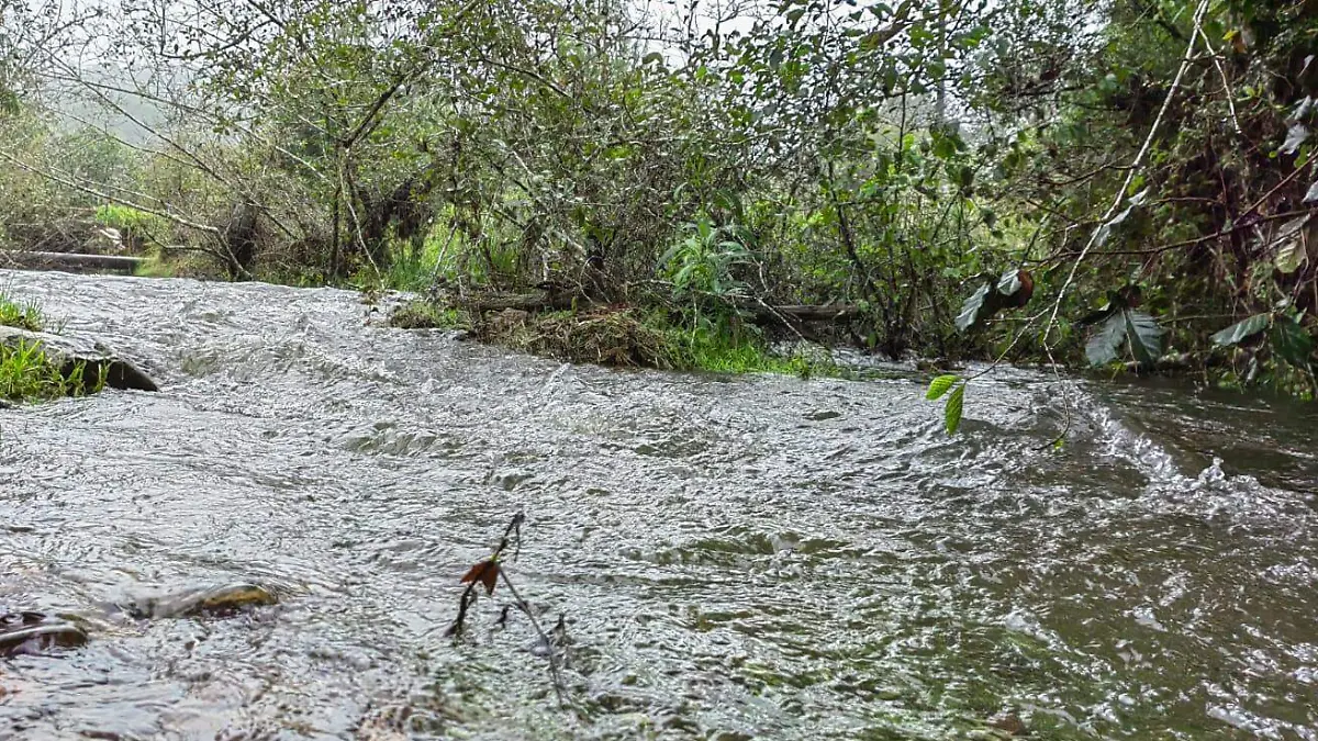 LLUVIAS (3)