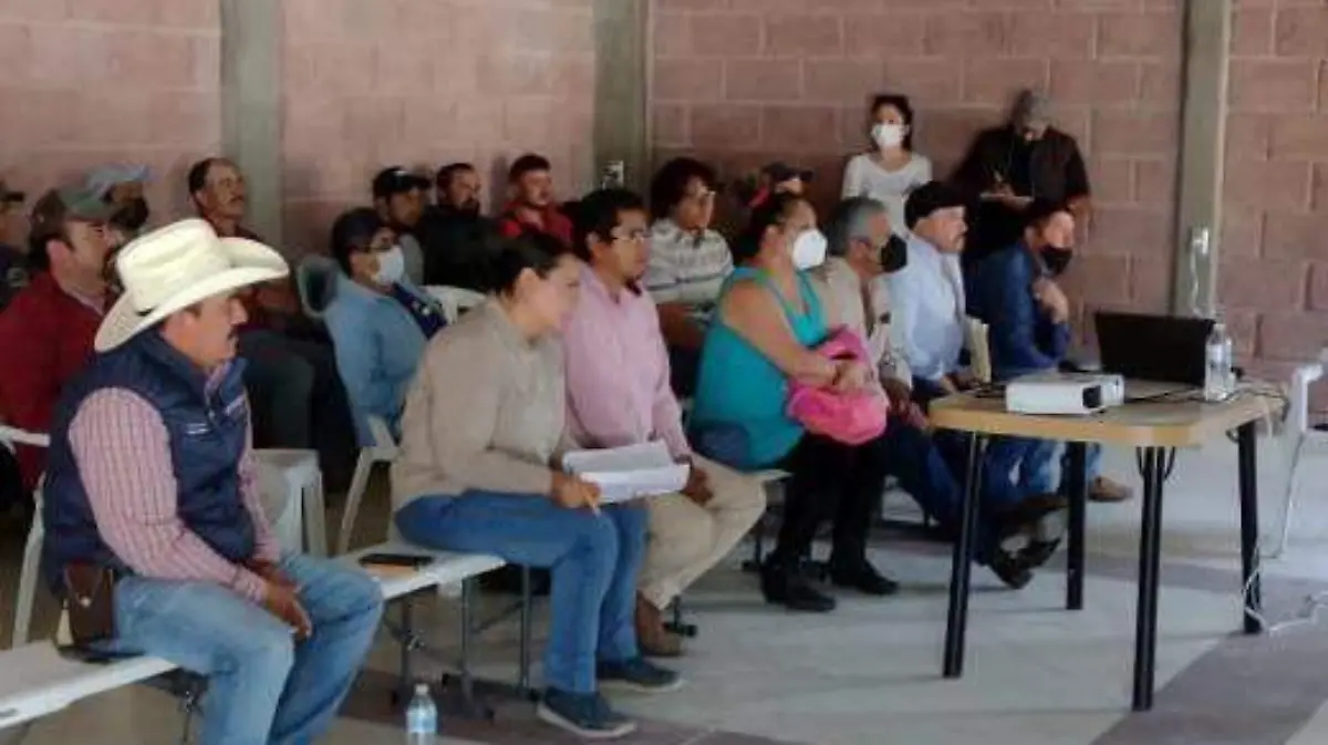 productores