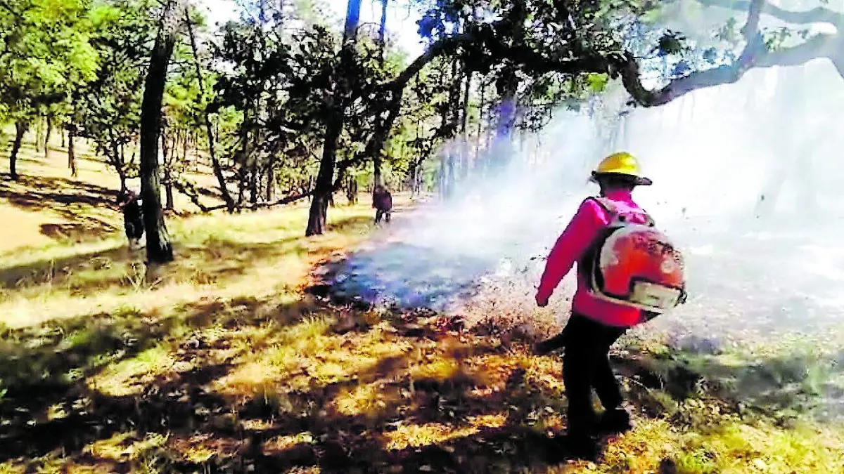 Incendios- Acatlan_CMYK