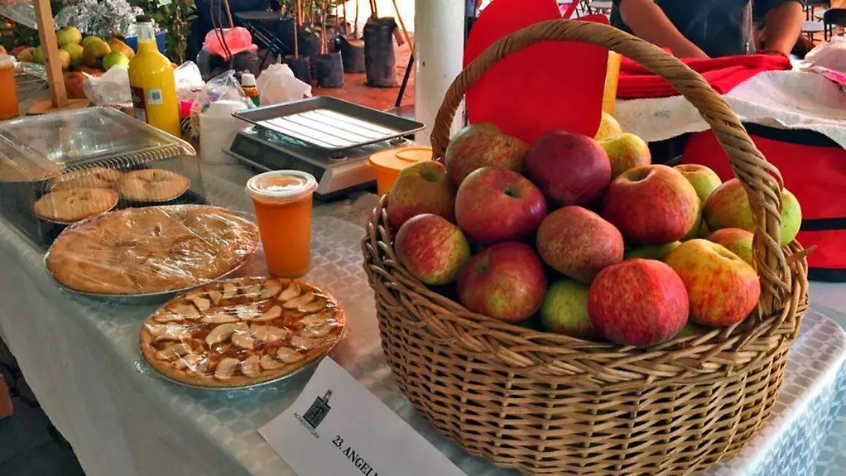 FERIA MANZANA (3)