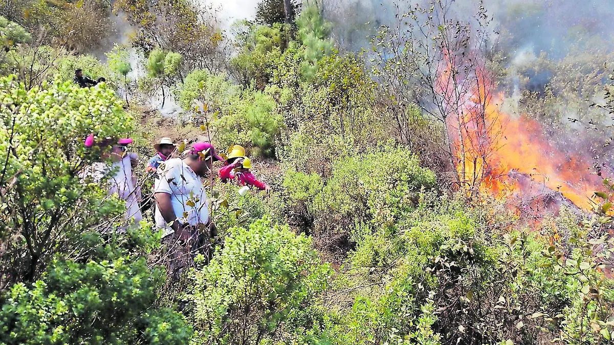 incendios forestales (2)_CMYK