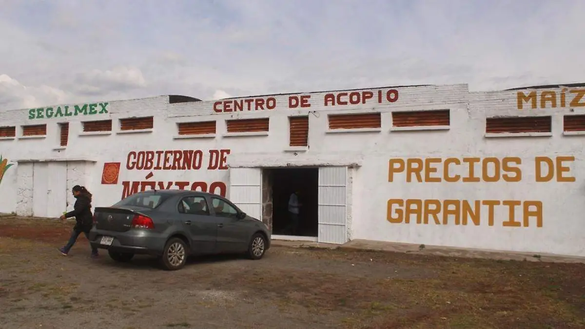 MAIZ GOBIERNO FEDERAL (3)