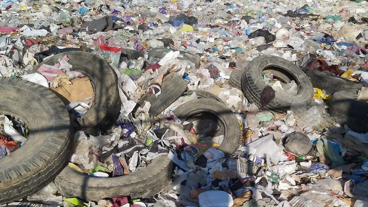 Basura 15