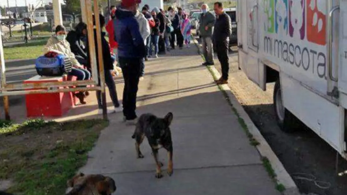 Esterilización