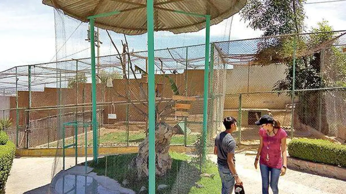 FALLECIMIENTO PAPIONES ZOO