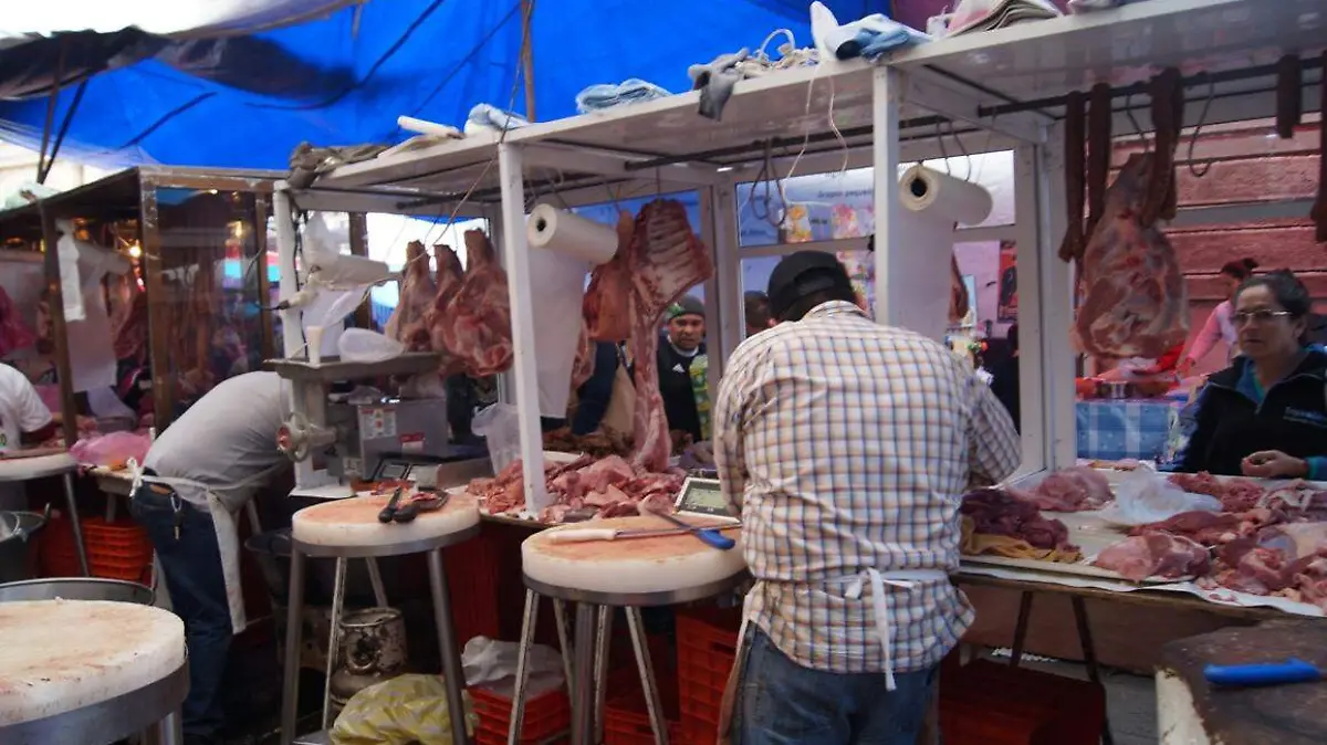CARNE (3)