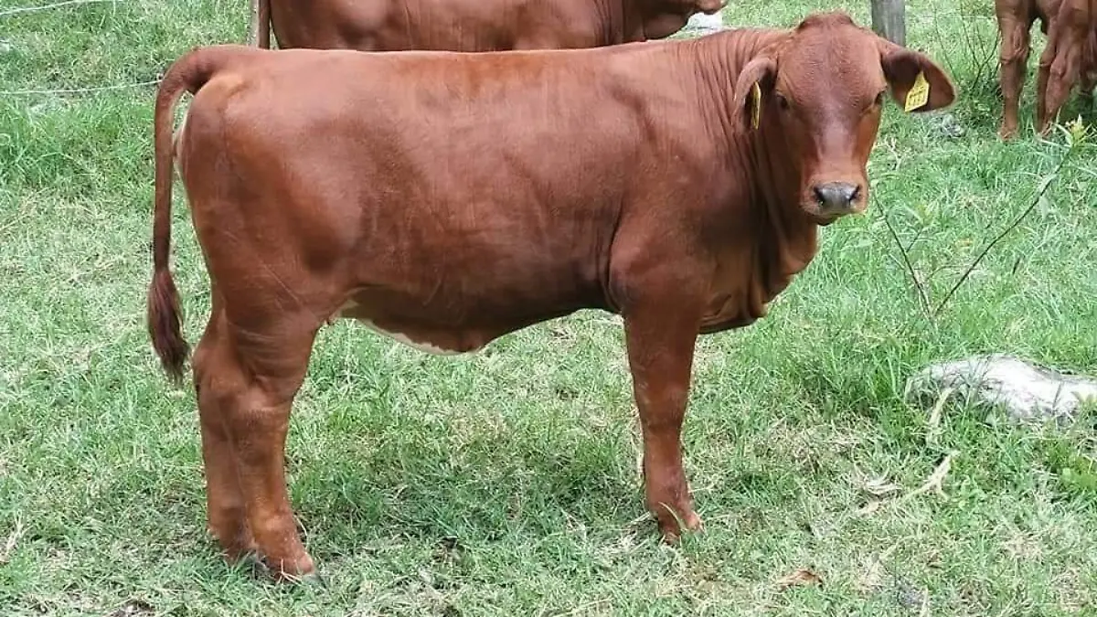 WhatsApp Image 2022-05-17 at 8.17.06 PM