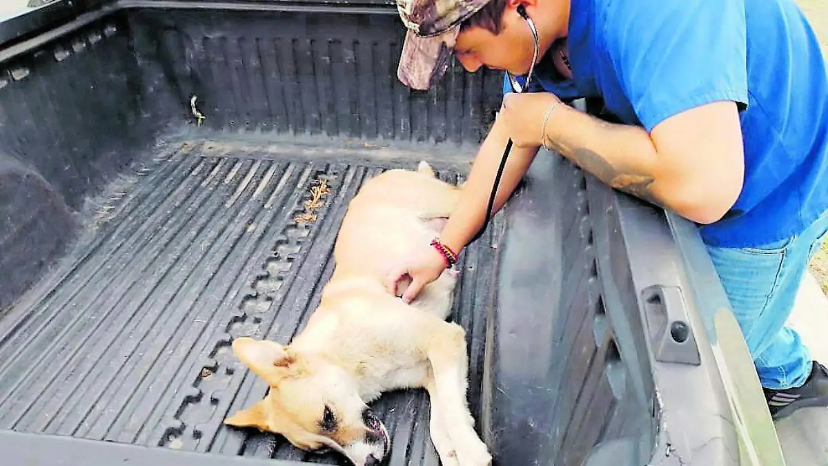 ESTERILIZACION__CMYK