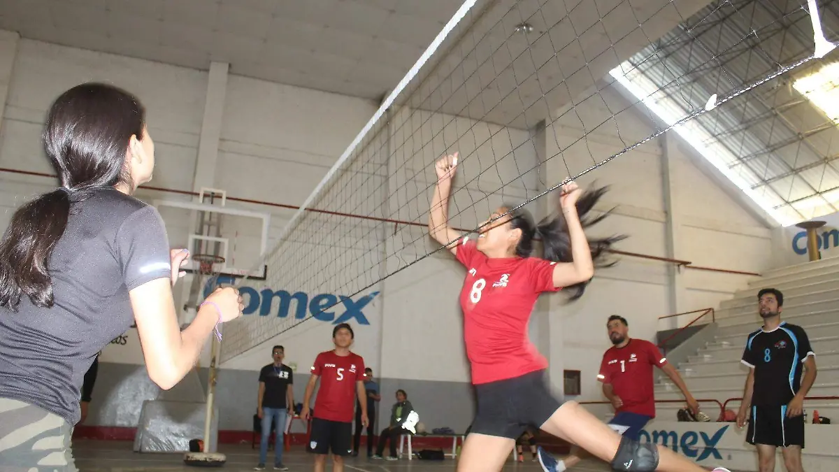 VOLEIBOL (1)