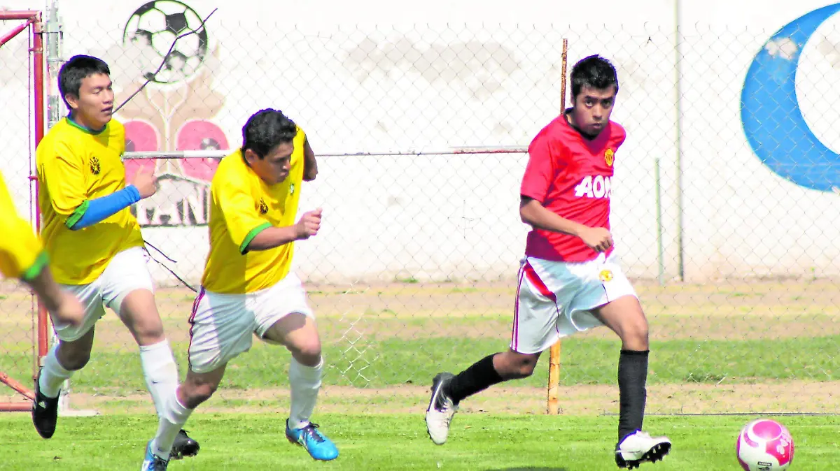 TGO 3 JUVENILES_CMYK