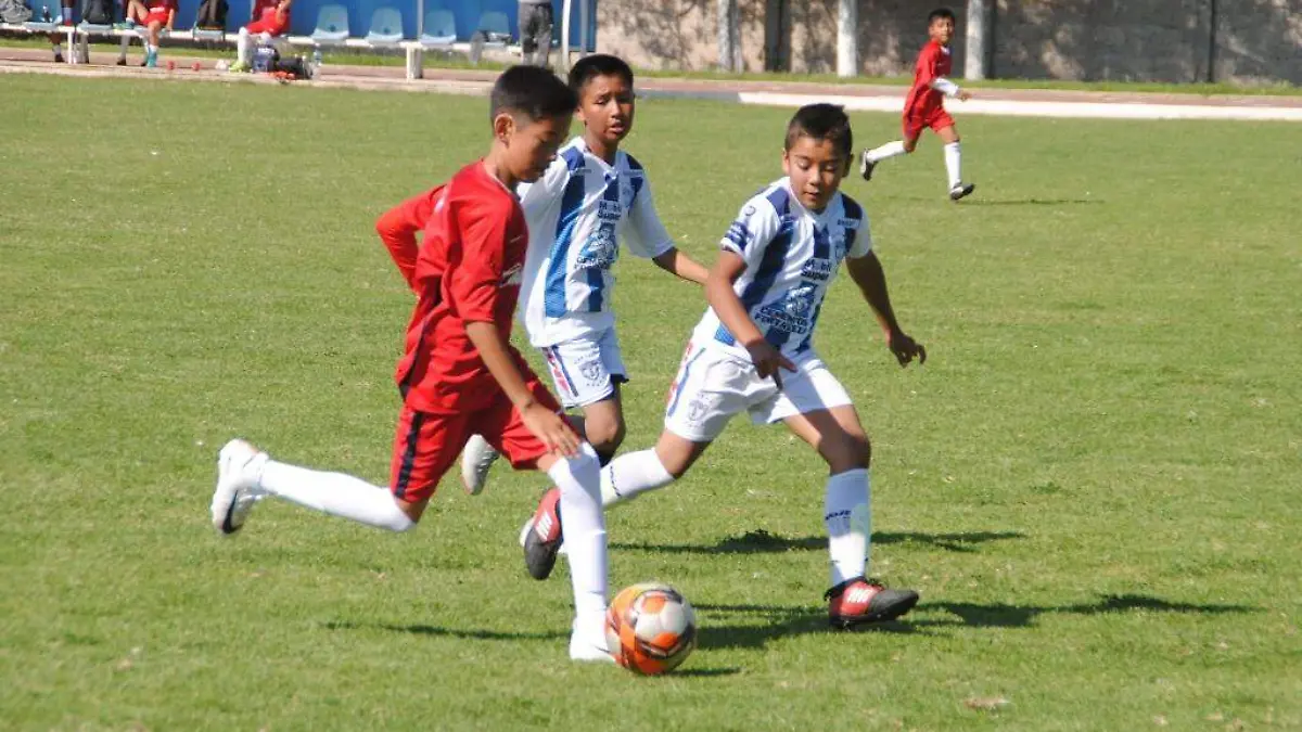 ESCOLARES 2