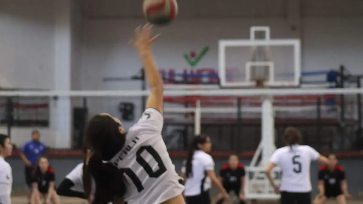 TGO VOLEIBOL (1)