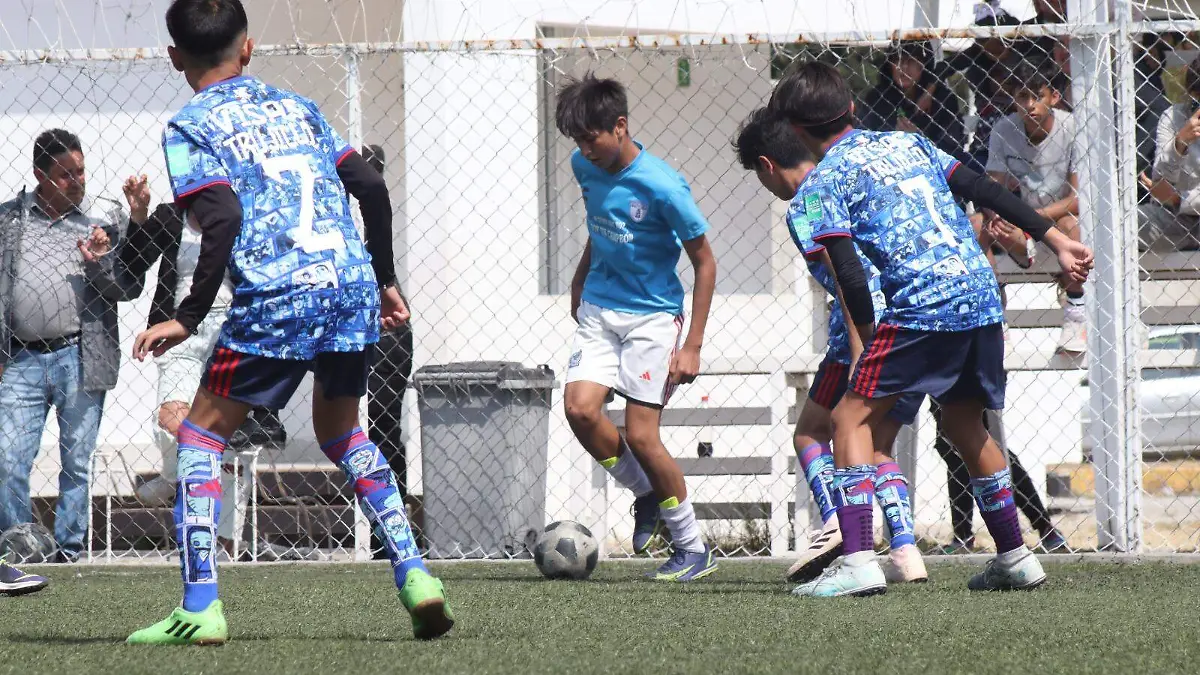 TGO ESTATAL (1)