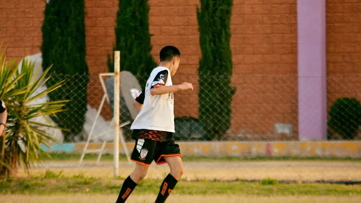 TGO 3 VISORIAS