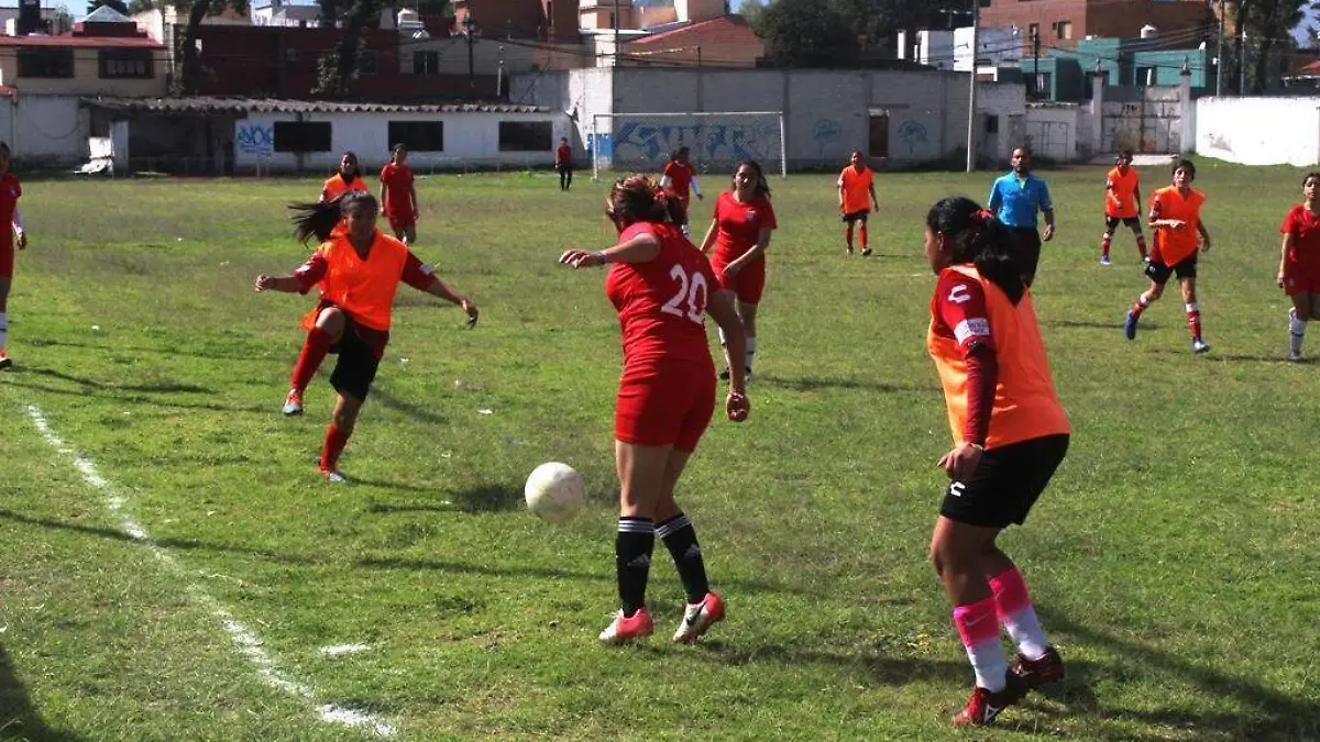 FEMENIL 1