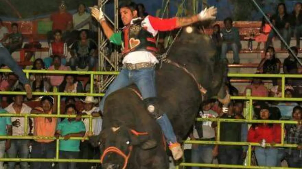 JARIPEO 3
