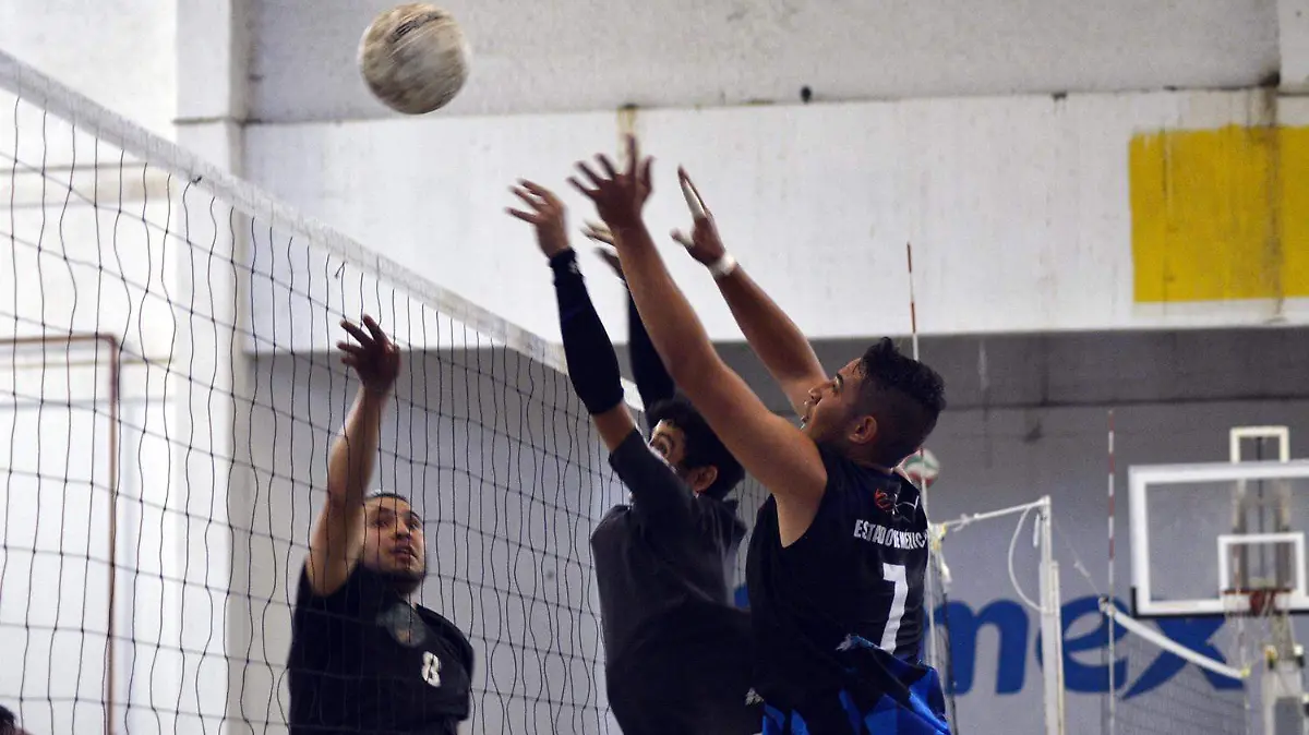 VOLEIBOL SALA (1)