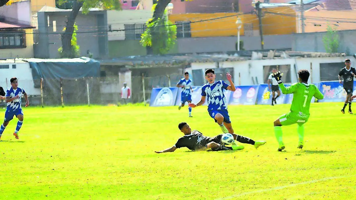 TGO SK SPORT_CMYK