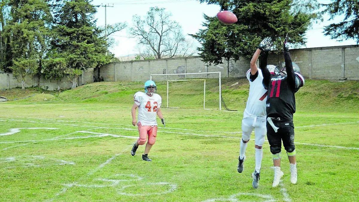 TGO 2 STALLIONS_CMYK (1)