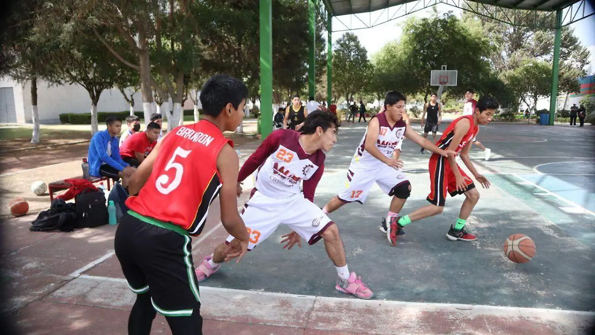 TGO 3 UNIVERSITARIA (2)