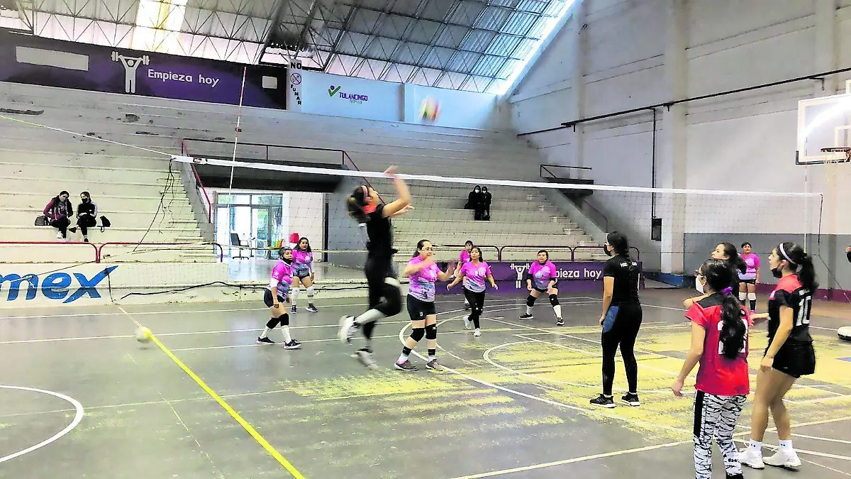 TGO VOLEIBOL_CMYK