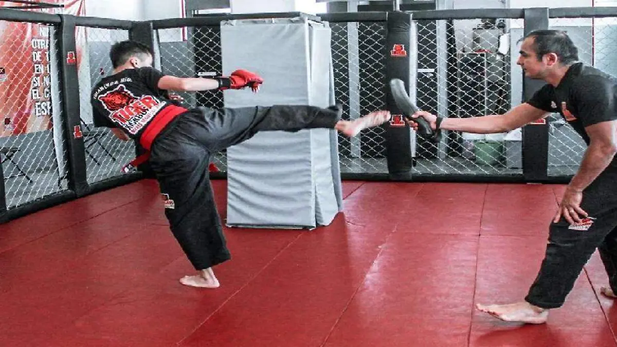 TGO 3 MMA