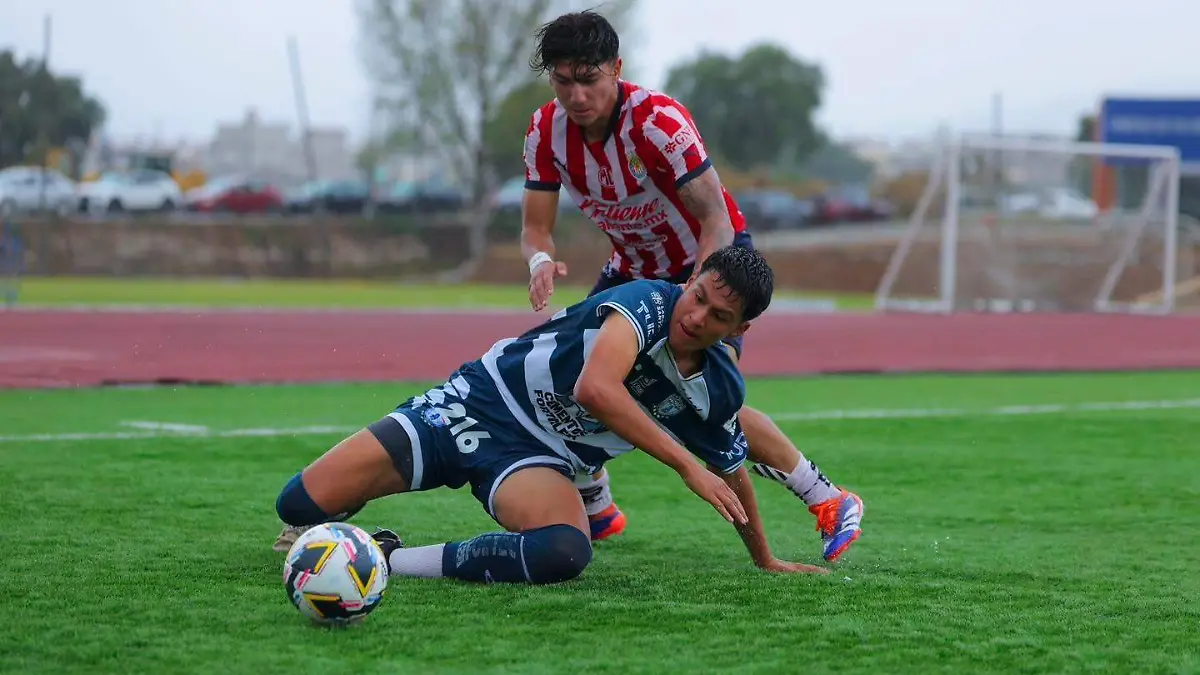 Básicas 2