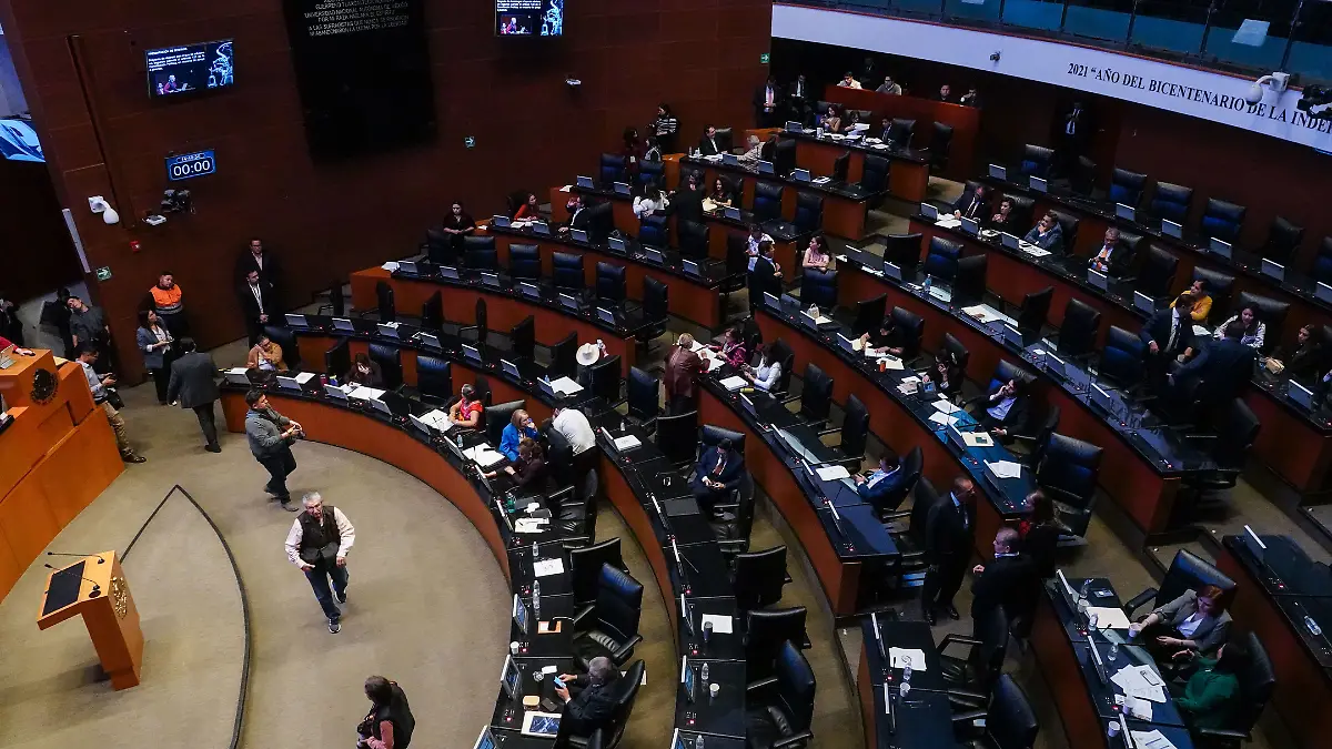 senado