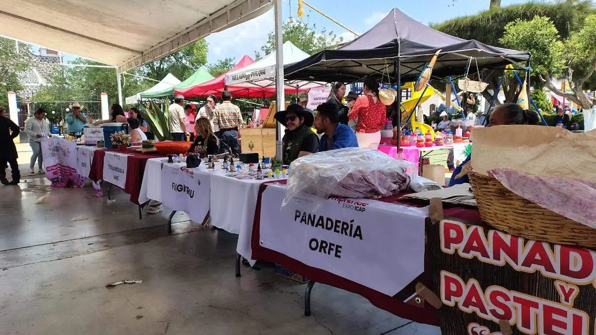 Expo Emprendedores Cuautepec 2025